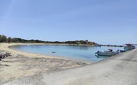 View To The Blue 